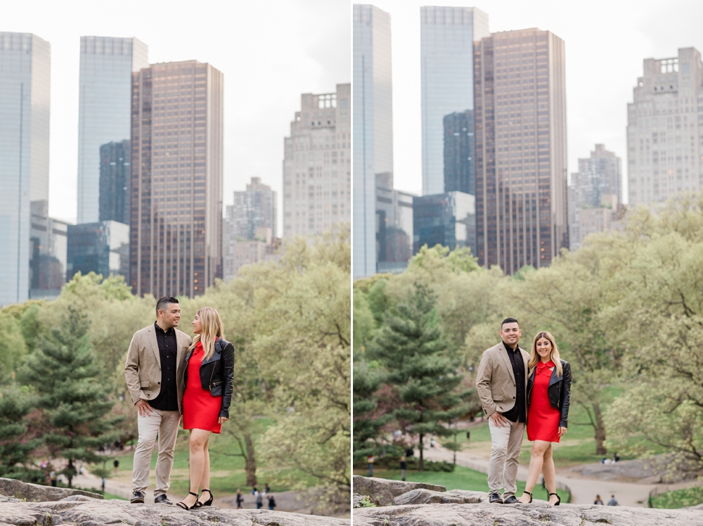 manhattan skyline in central park in new york city