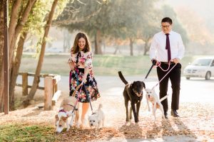 hart park bakersfield engagement session with dogs