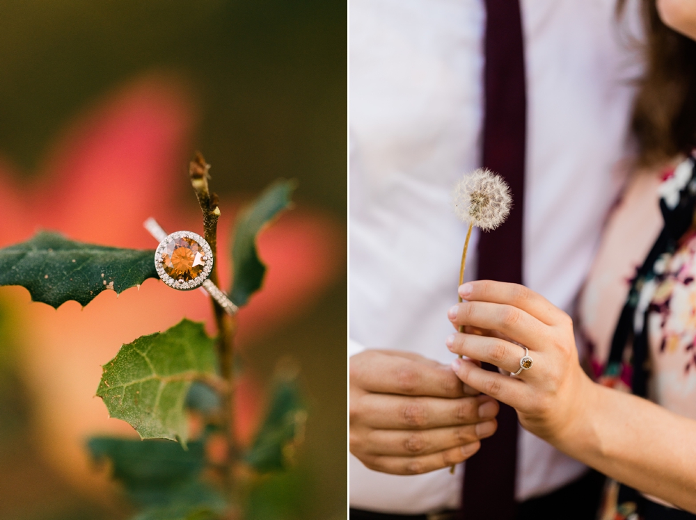 bakersfield engagement session, blowing wishes, chocolate diamond ring, fall colors